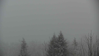 Chata Myslivna SKP Olomouc