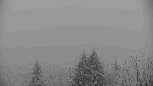 Chata Myslivna SKP Olomouc - Posezení - 16.12.2025 v 09:30 Chata Myslivna SKP Olomouc - Posezení - 16.12.2025 v 09:30