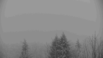 Chata Myslivna SKP Olomouc