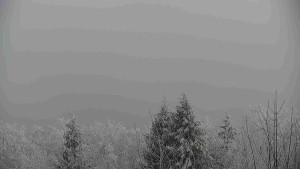 Chata Myslivna SKP Olomouc - Posezení - 16.12.2025 v 13:30 Chata Myslivna SKP Olomouc - Posezení - 16.12.2025 v 13:30