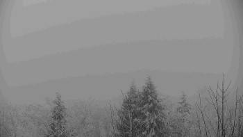 Chata Myslivna SKP Olomouc