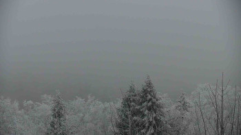 Chata Myslivna SKP Olomouc