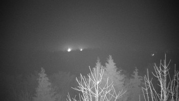 Chata Myslivna SKP Olomouc