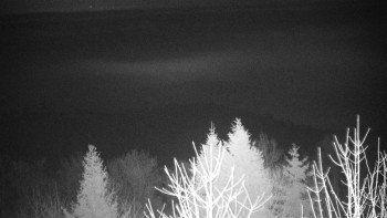 Chata Myslivna SKP Olomouc