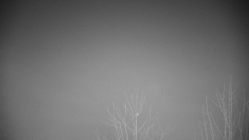 Chata Myslivna SKP Olomouc