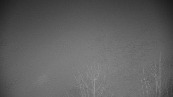 Chata Myslivna SKP Olomouc