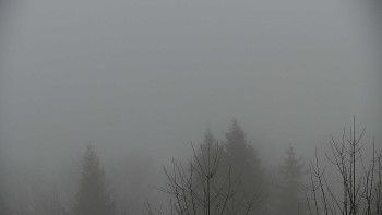 Chata Myslivna SKP Olomouc