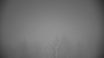 Chata Myslivna SKP Olomouc