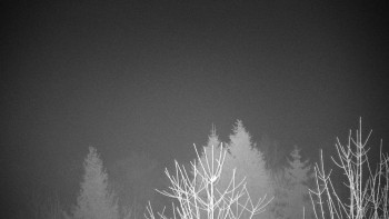 Chata Myslivna SKP Olomouc