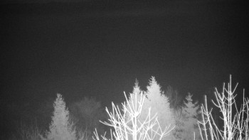 Chata Myslivna SKP Olomouc