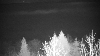 Chata Myslivna SKP Olomouc