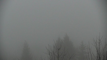 Chata Myslivna SKP Olomouc