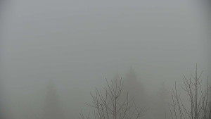 Chata Myslivna SKP Olomouc - Posezení - 23.12.2025 v 08:30