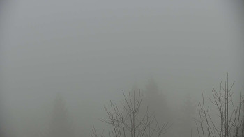 Chata Myslivna SKP Olomouc