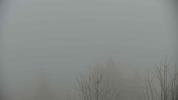 Chata Myslivna SKP Olomouc