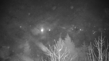 Chata Myslivna SKP Olomouc