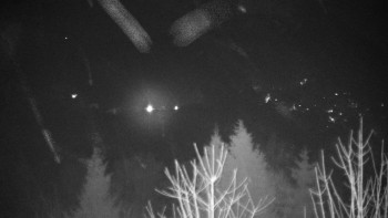 Chata Myslivna SKP Olomouc