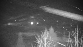 Chata Myslivna SKP Olomouc