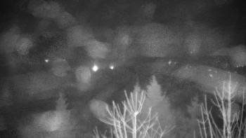 Chata Myslivna SKP Olomouc