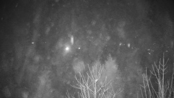 Chata Myslivna SKP Olomouc