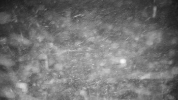 Chata Myslivna SKP Olomouc