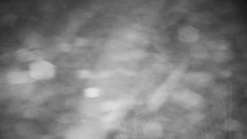 Chata Myslivna SKP Olomouc