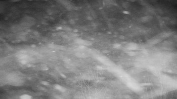 Chata Myslivna SKP Olomouc