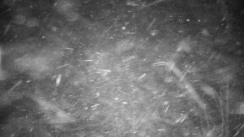 Chata Myslivna SKP Olomouc