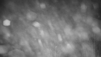 Chata Myslivna SKP Olomouc