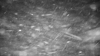 Chata Myslivna SKP Olomouc