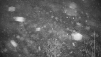 Chata Myslivna SKP Olomouc