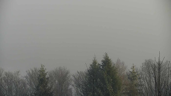 Chata Myslivna SKP Olomouc