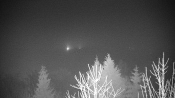 Chata Myslivna SKP Olomouc