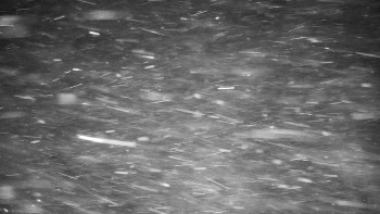 Chata Myslivna SKP Olomouc