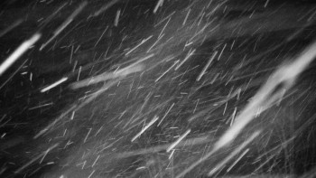 Chata Myslivna SKP Olomouc