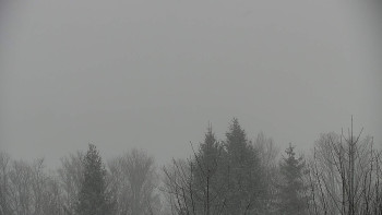 Chata Myslivna SKP Olomouc