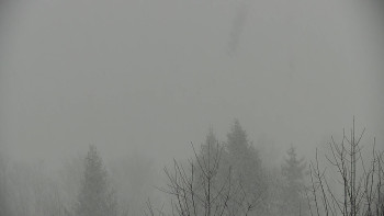 Chata Myslivna SKP Olomouc