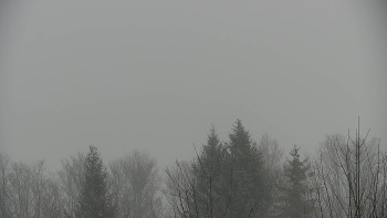 Chata Myslivna SKP Olomouc