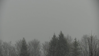 Chata Myslivna SKP Olomouc