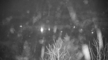 Chata Myslivna SKP Olomouc