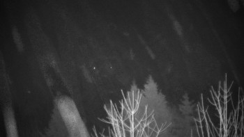 Chata Myslivna SKP Olomouc