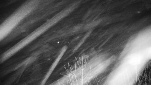 Chata Myslivna SKP Olomouc - Posezení - 1.1.2026 v 06:30