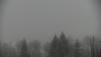 Chata Myslivna SKP Olomouc