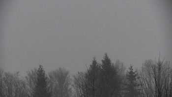 Chata Myslivna SKP Olomouc