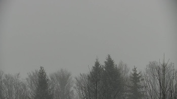 Chata Myslivna SKP Olomouc