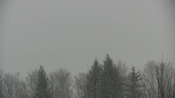 Chata Myslivna SKP Olomouc