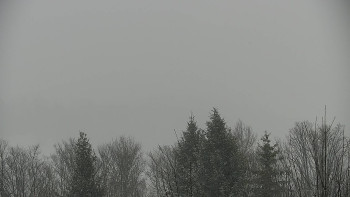 Chata Myslivna SKP Olomouc