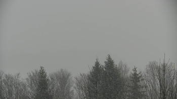 Chata Myslivna SKP Olomouc