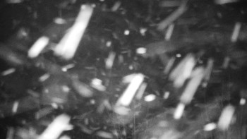 Chata Myslivna SKP Olomouc