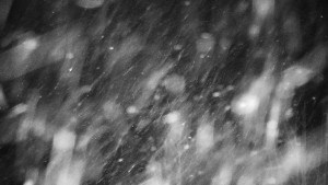 Chata Myslivna SKP Olomouc - Posezení - 13.1.2026 v 00:30